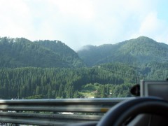 そして本土上陸〜　真っ直ぐな杉の山が北海道と違う土地なのを感じさせます。